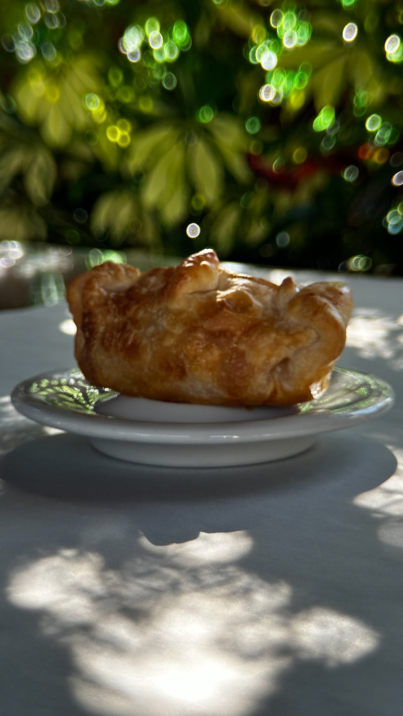 Chicken Empanada