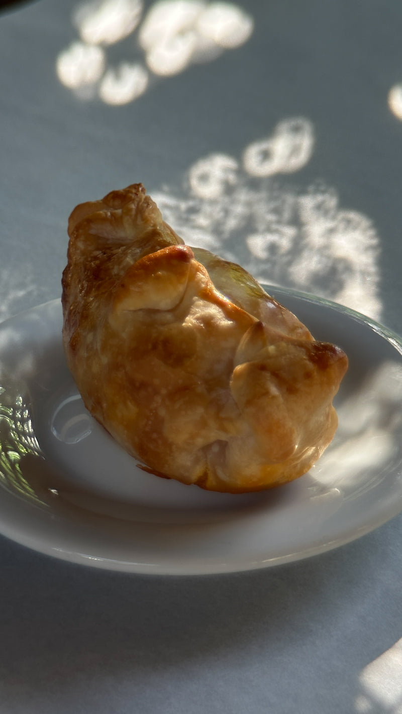 Chicken Empanada