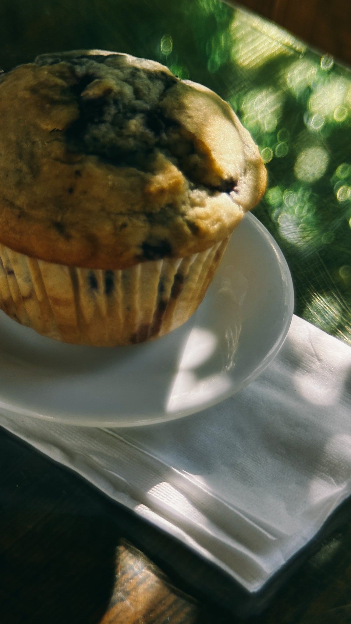 Muffin (Blueberry)